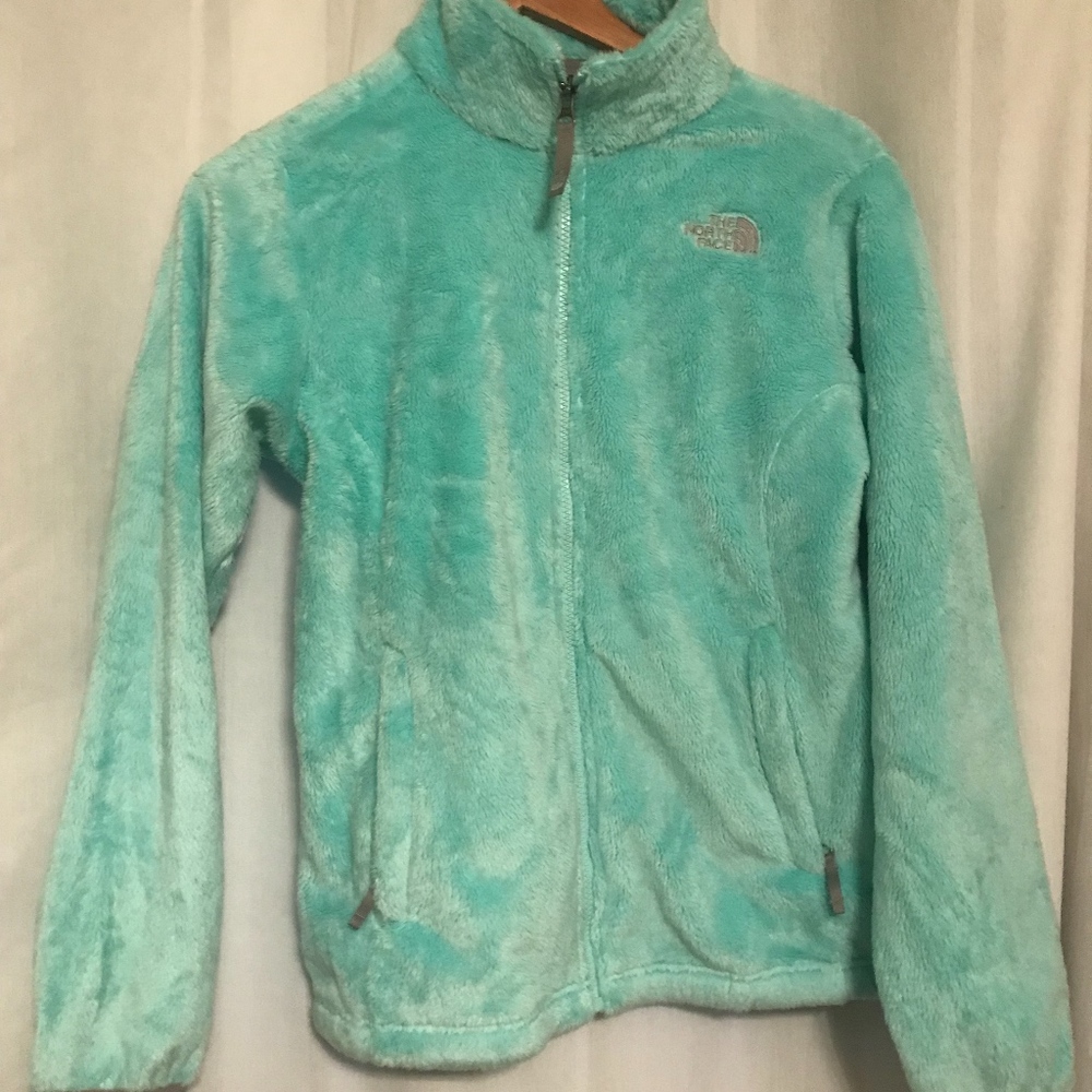 North Face Mint Osito